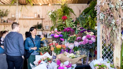 Urban Jungle Canberra