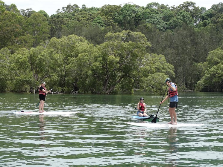 Family trying Stand up Paddlebaording