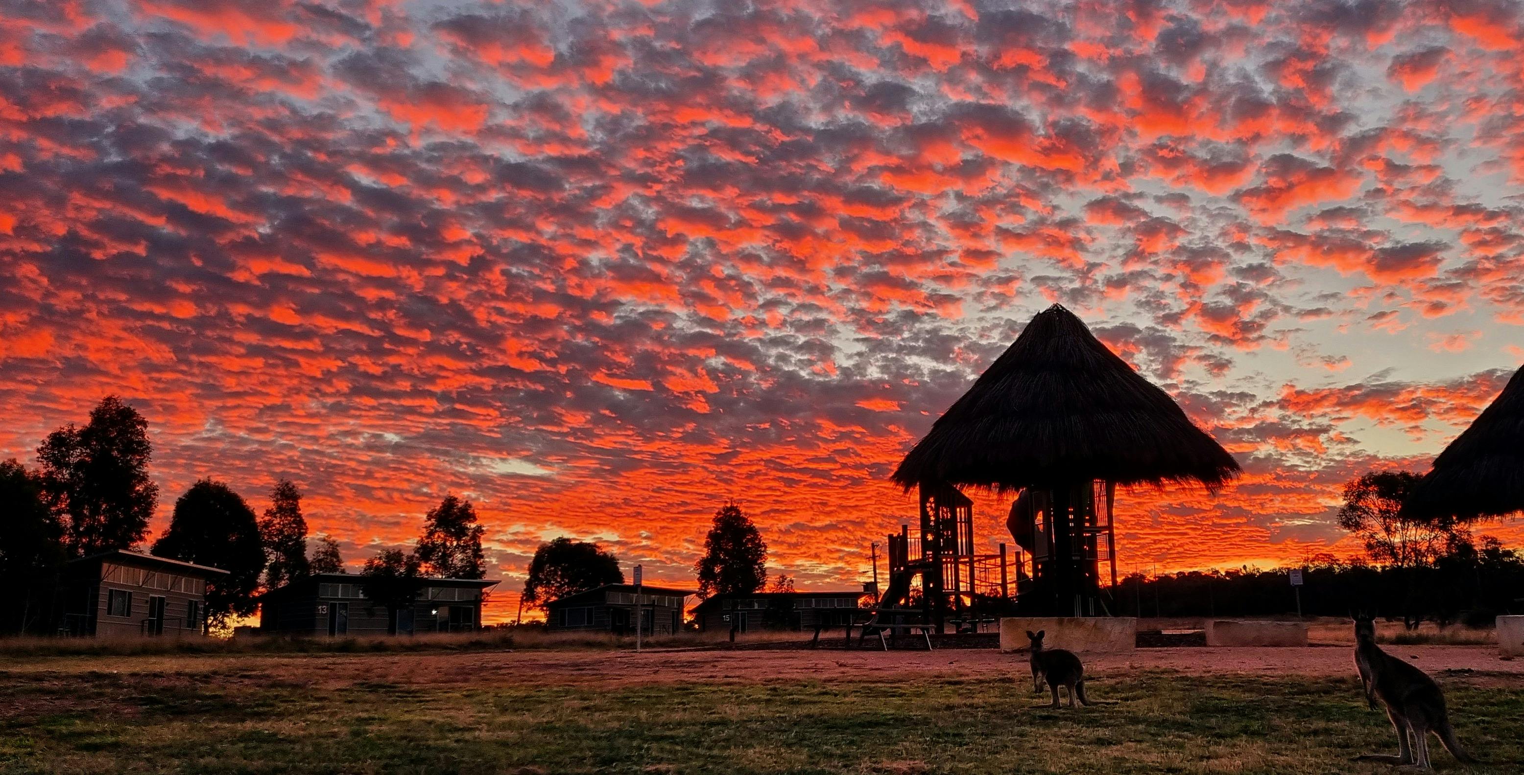 サバンナキャビン、タロンガウエスタンプレインズ動物園、ダボ