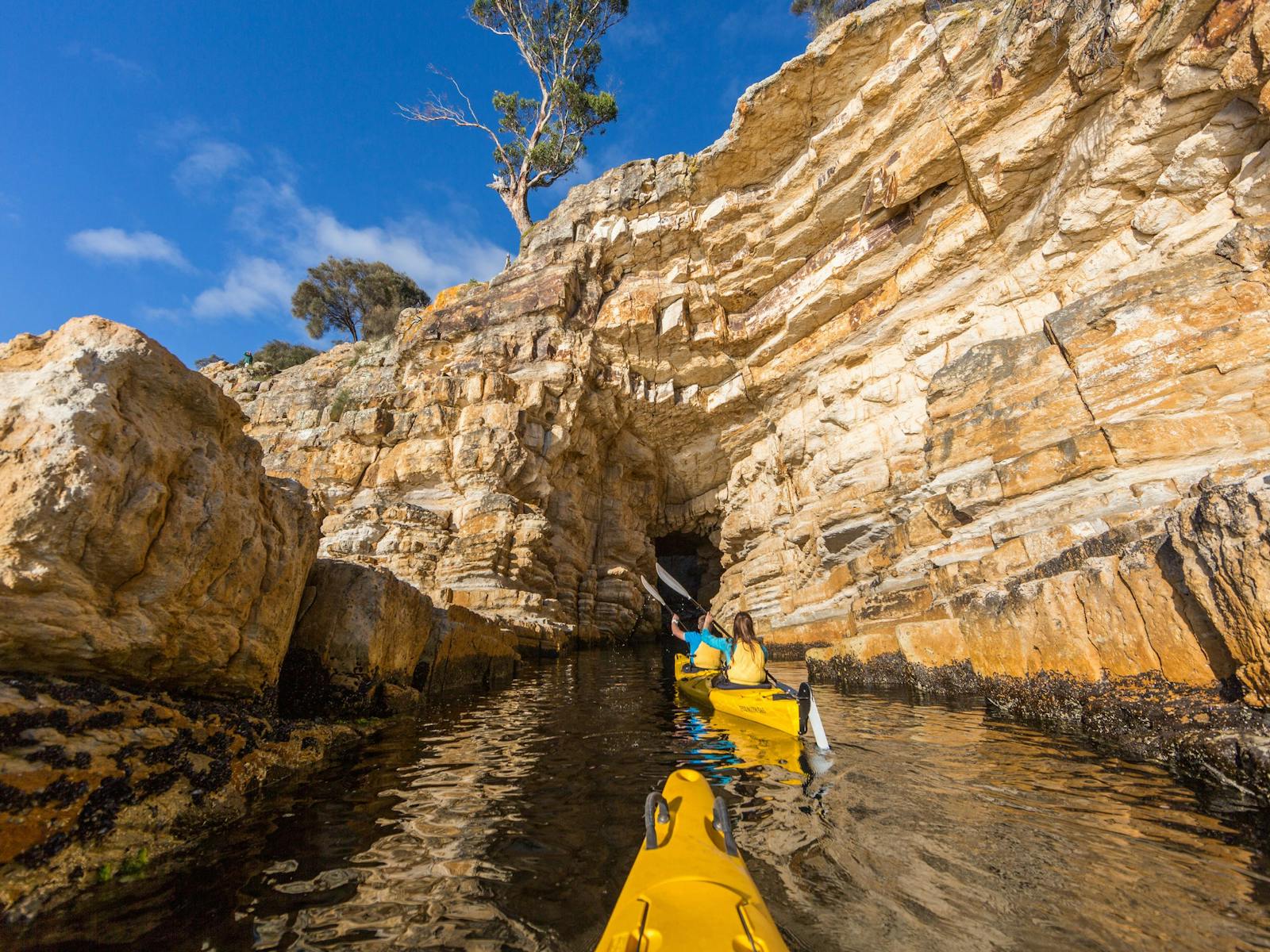 Kayaking into a cave on Derwent River
