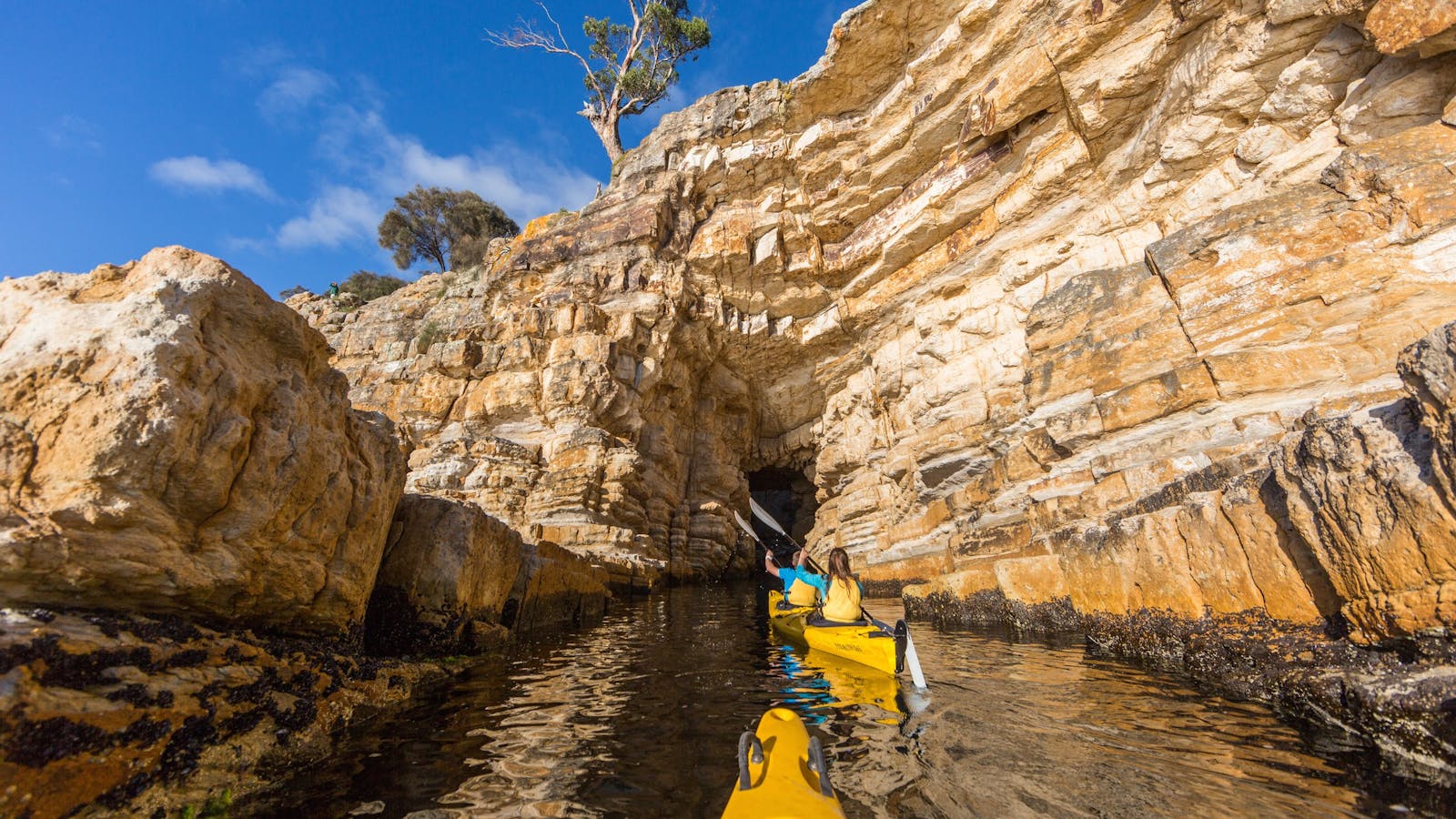 Kayaking into a cave on Derwent River