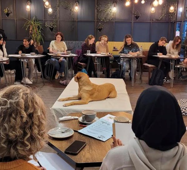 Dog Drawing Class