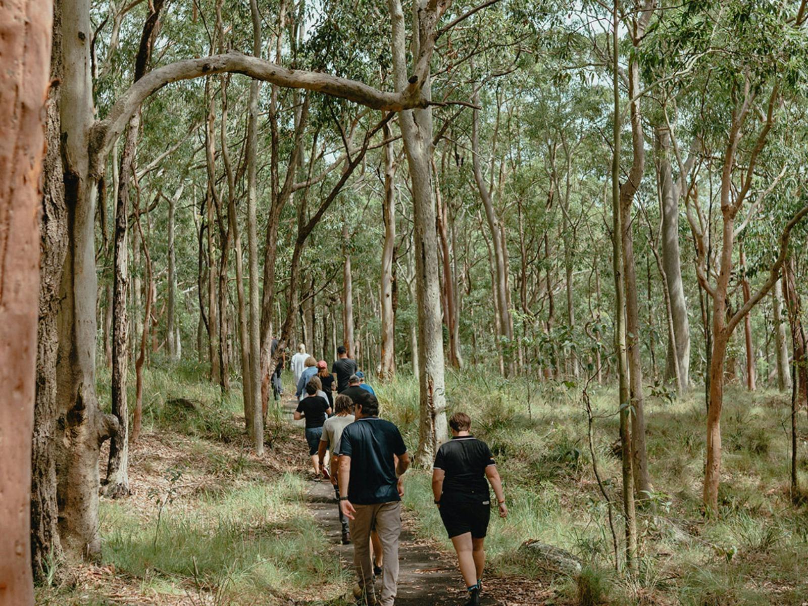 Guided In Country Walk