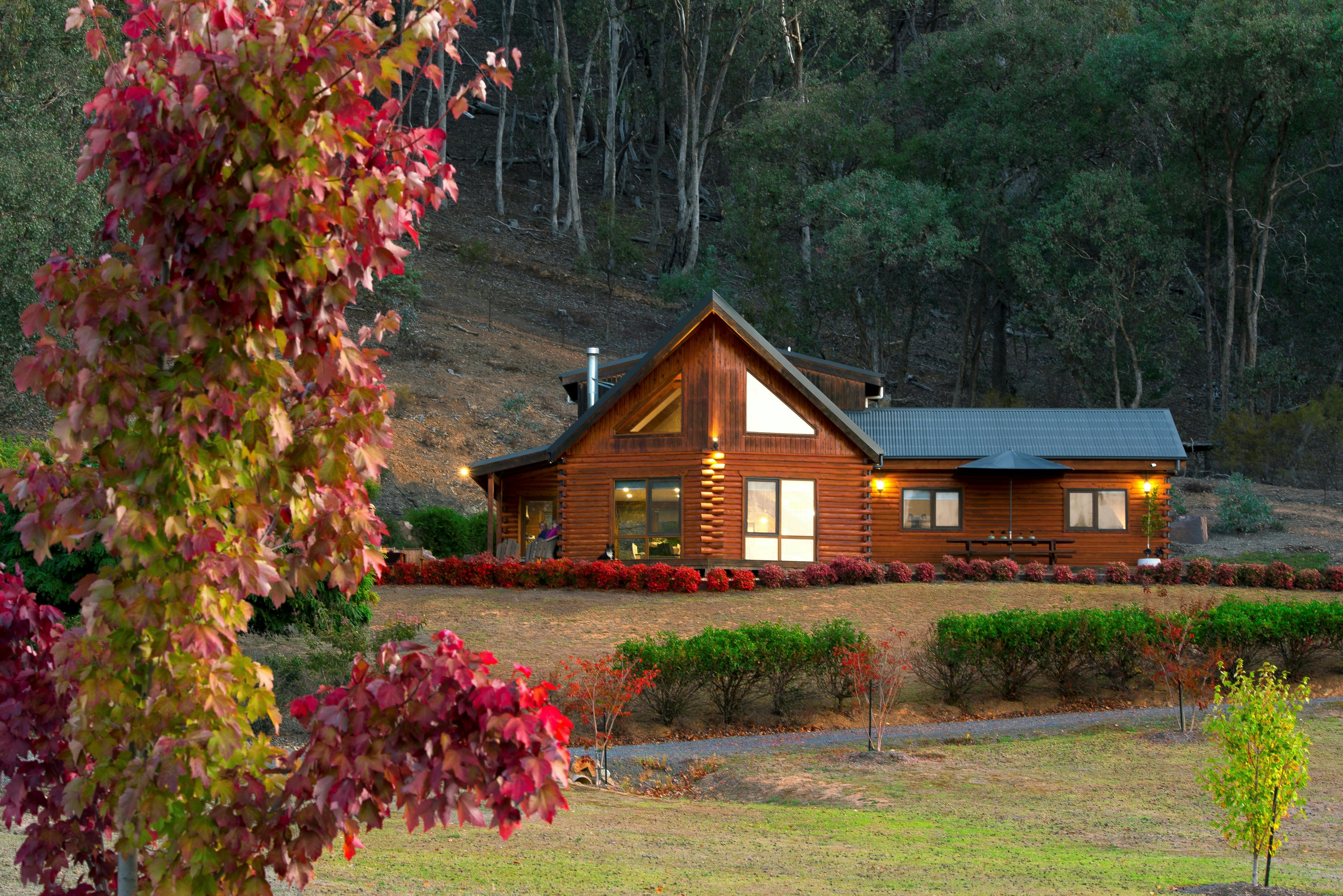 Timber cabin with large windows, bush backdrop, and exterior lighting at dusk.