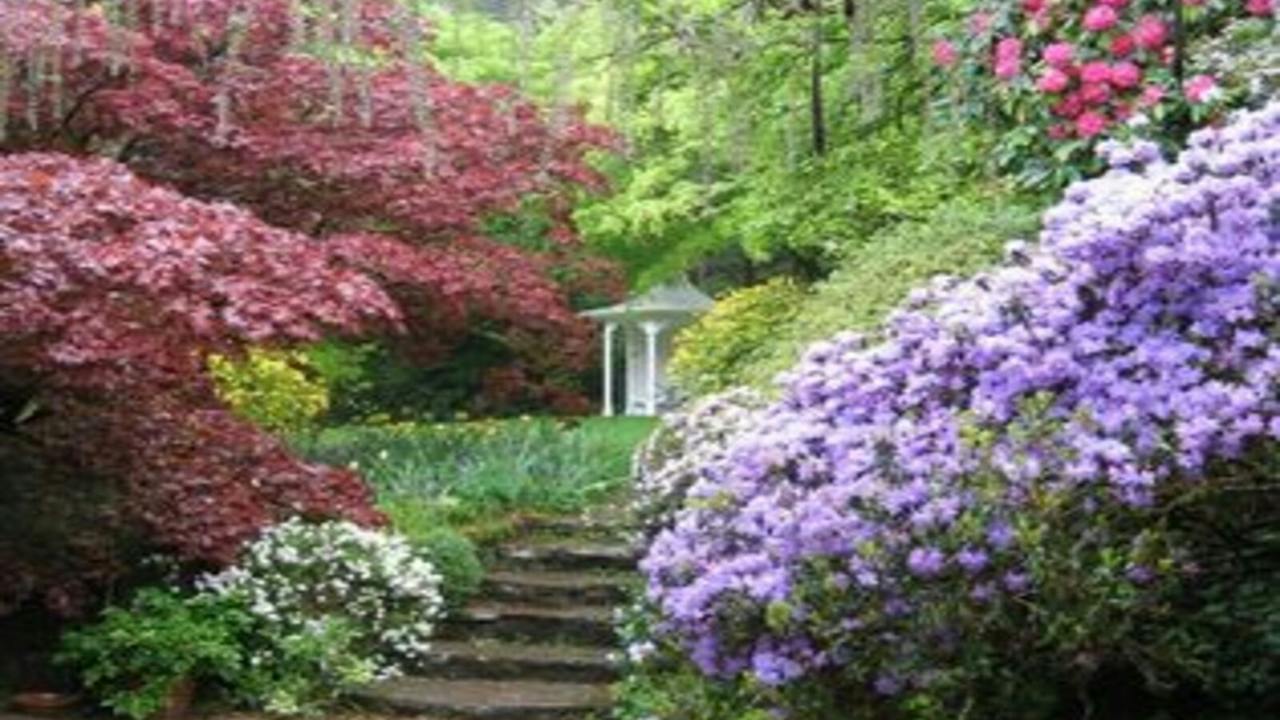 Nooroo Garden in Spring