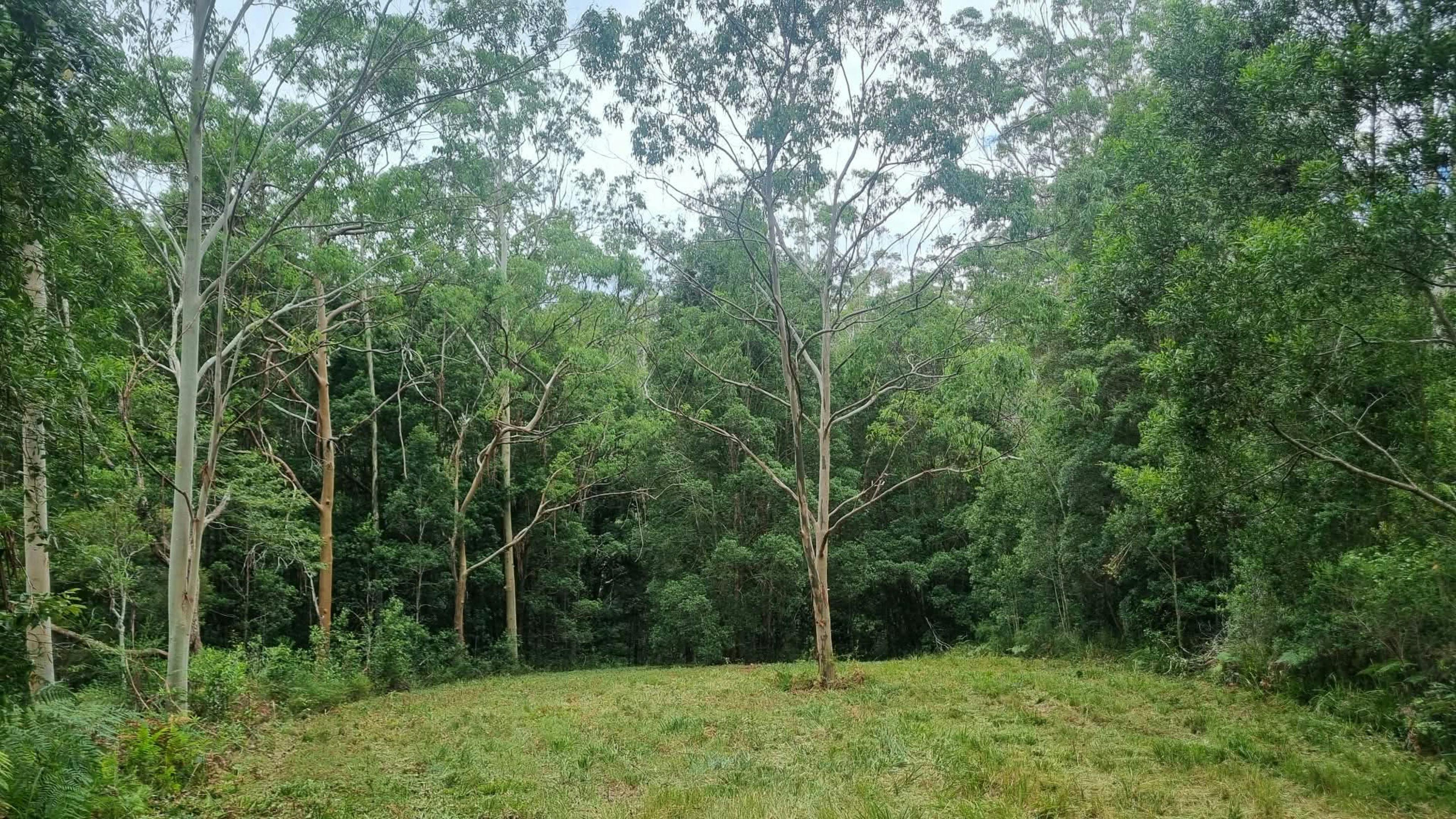 This is the camp area.