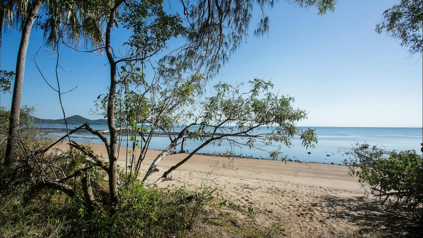 48 hours in Cape Hillsborough and The Hibiscus Coast
