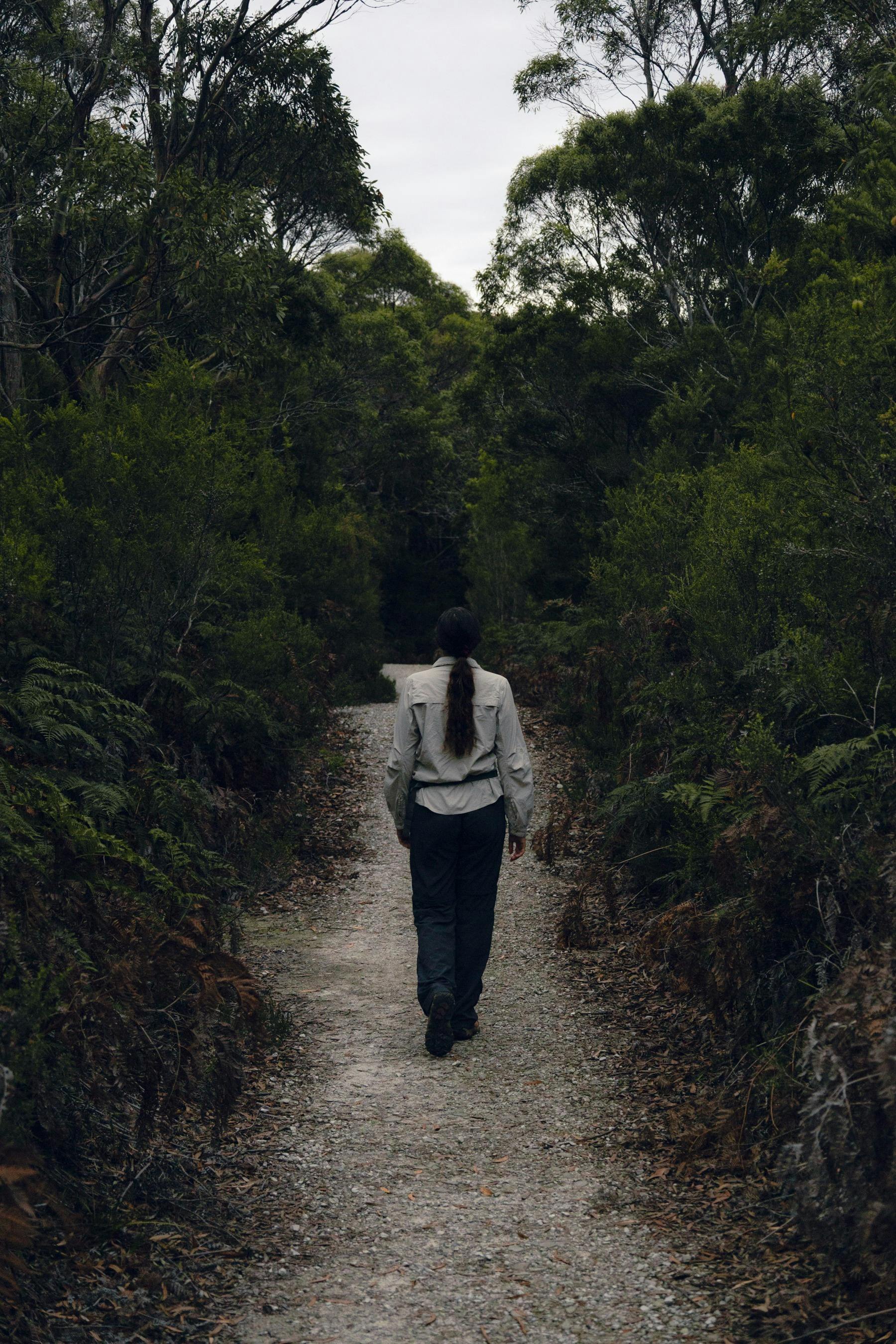 Night Walk Adventure