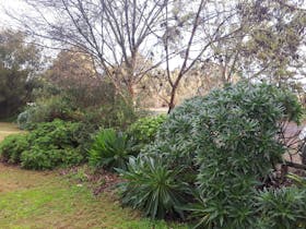 Gardens winter