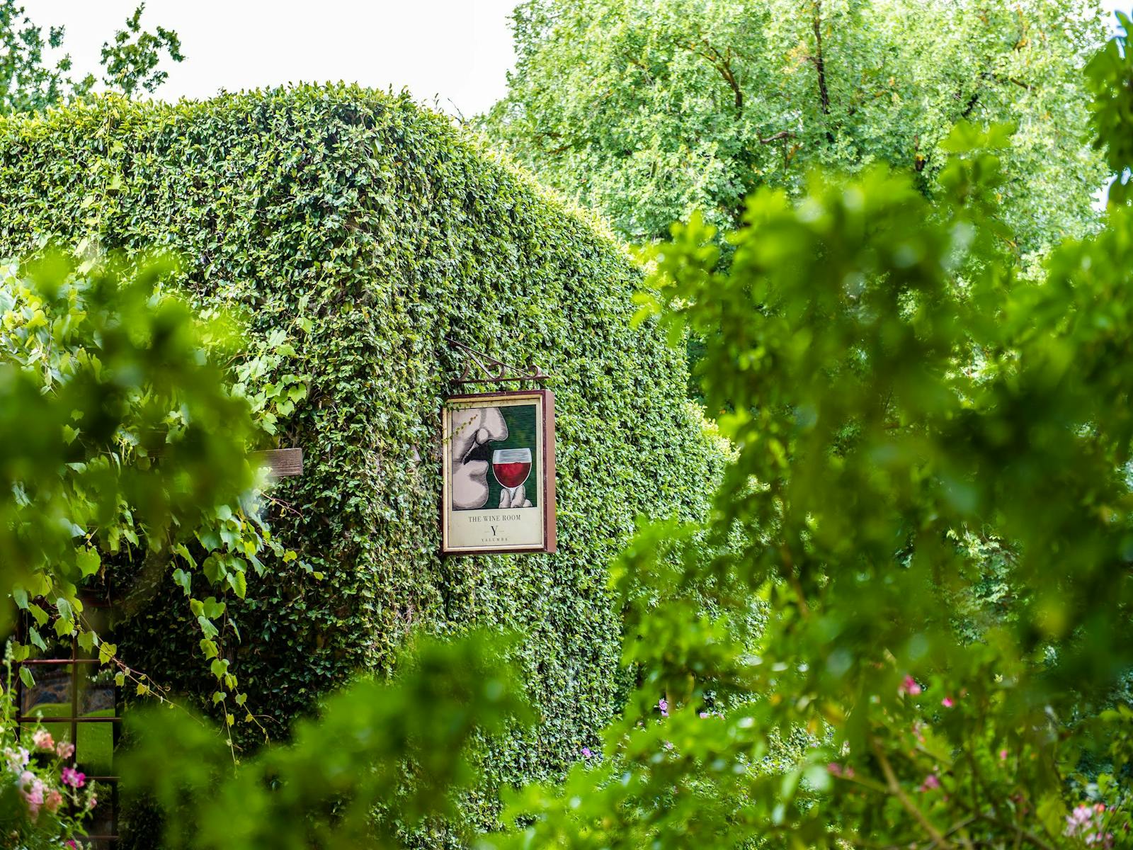 Yalumba Family Winemakers