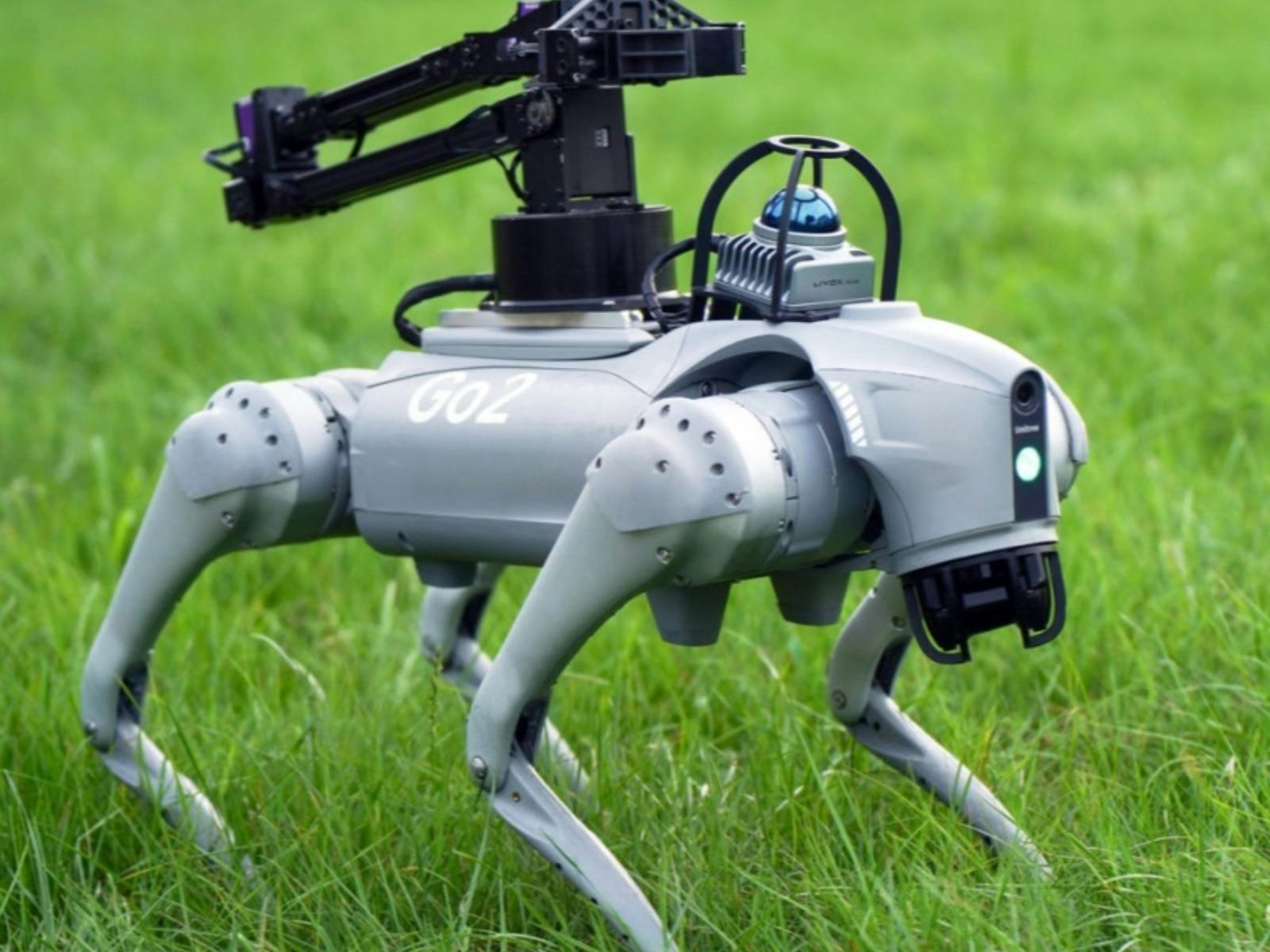 Robotic Dog