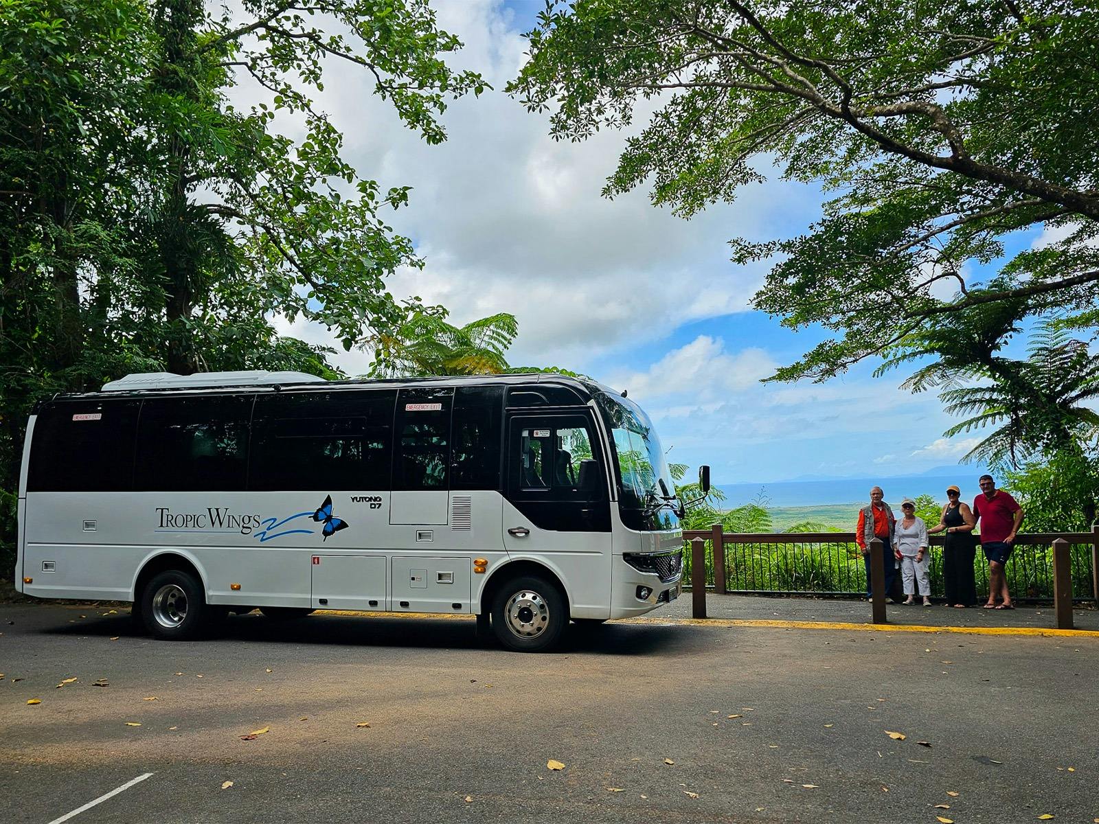 Tropic Wings Daintree and Cape Tribulation Tour at Alexandra Lookout