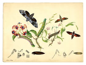 Transformations: Art of the Scott Sisters Exhibition