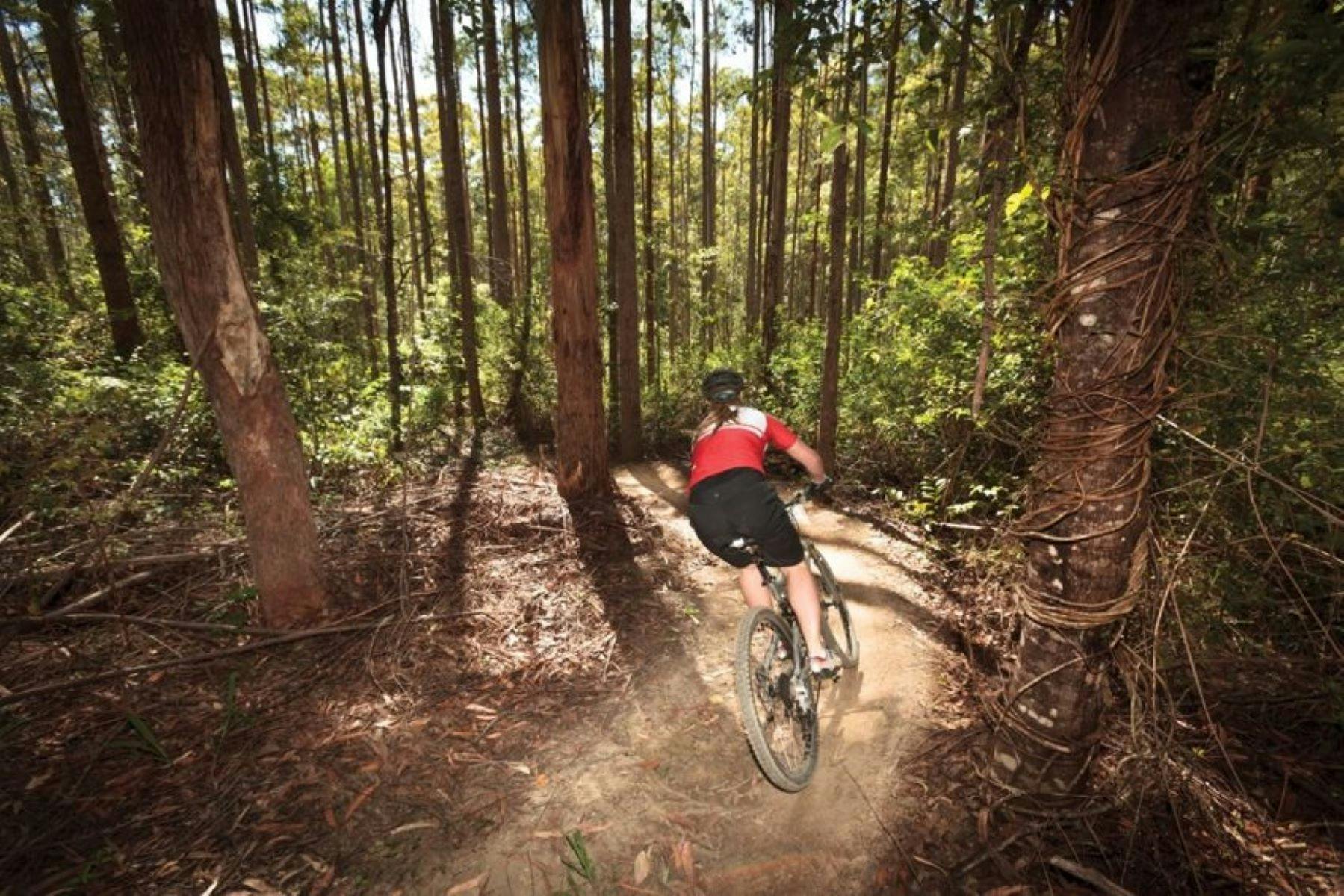 The Sawmill MTB Park