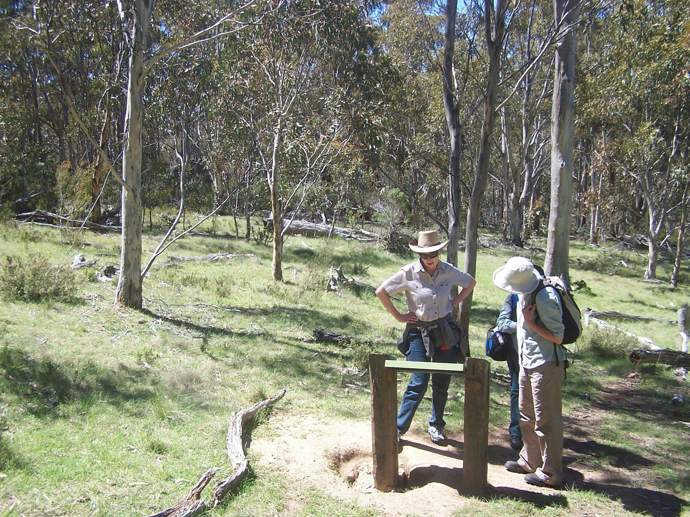 Three women reading sign board in open woodland