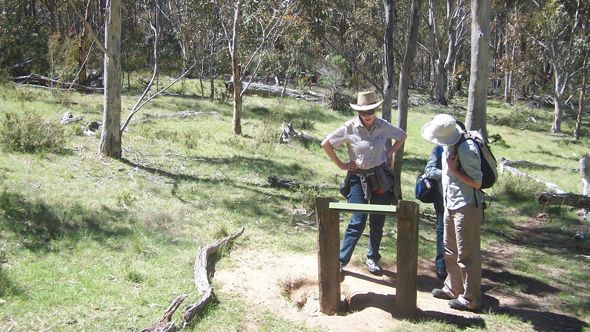 Three women reading sign board in open woodland