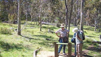 Three women reading sign board in open woodland