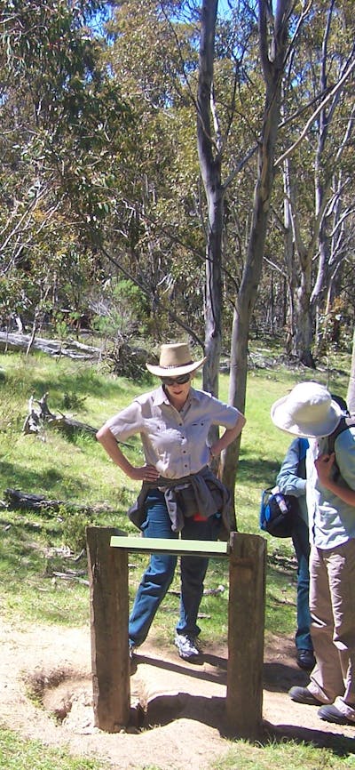 Three women reading sign board in open woodland