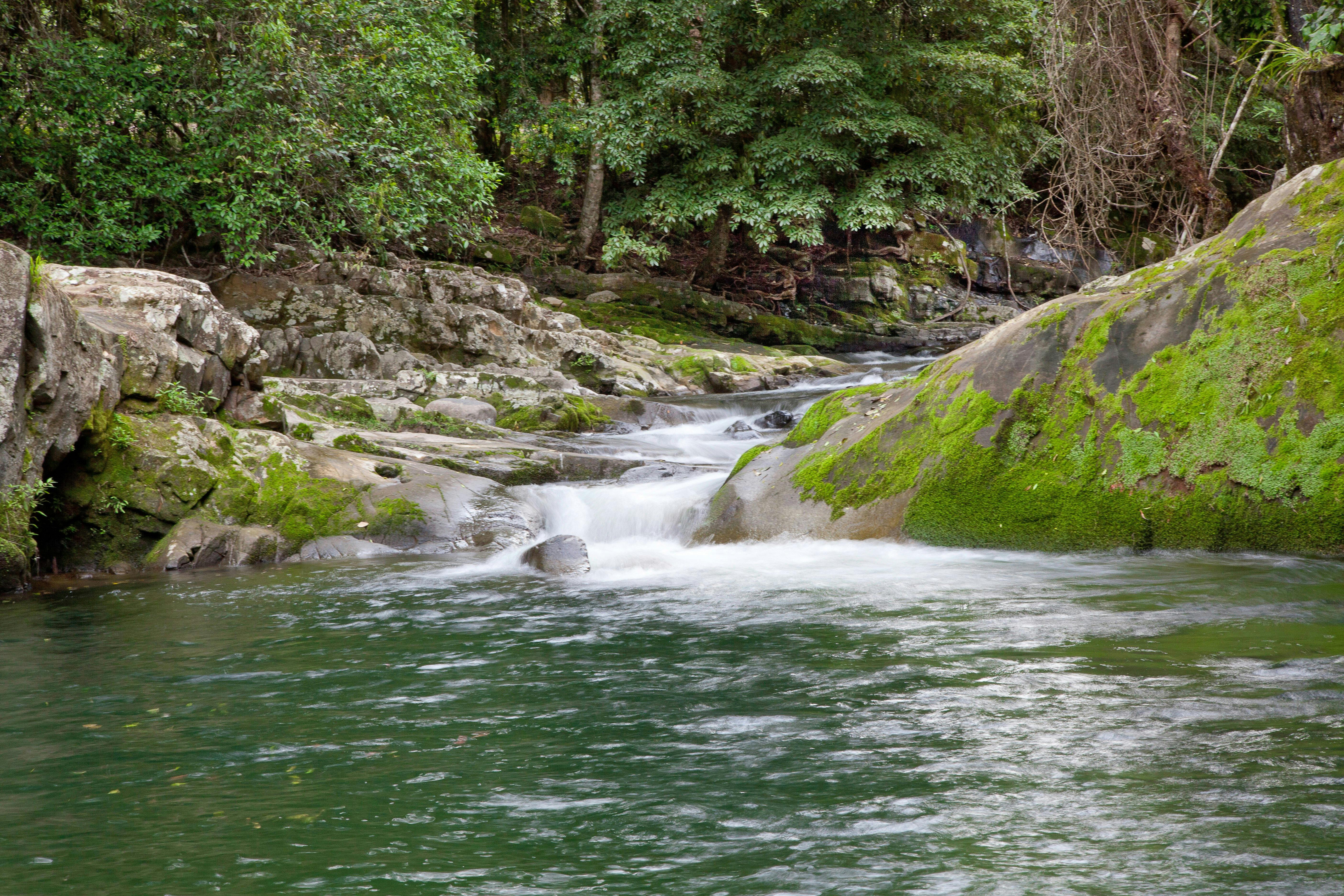 Ladies Well - Allyn River - Chichester State Forest