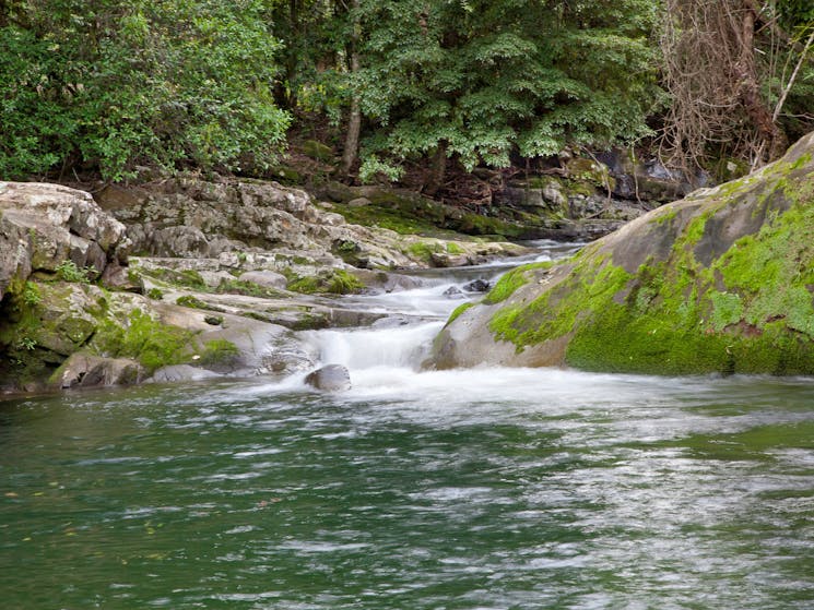 Ladies Well - Allyn River - Chichester State Forest