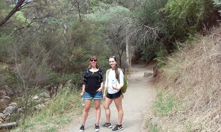 Waterfall Gully to Mount Lofty Hike