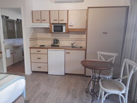 Kitchenette in a studio apartment contains a small fridge, cooktop, microwave, toaster and kettle