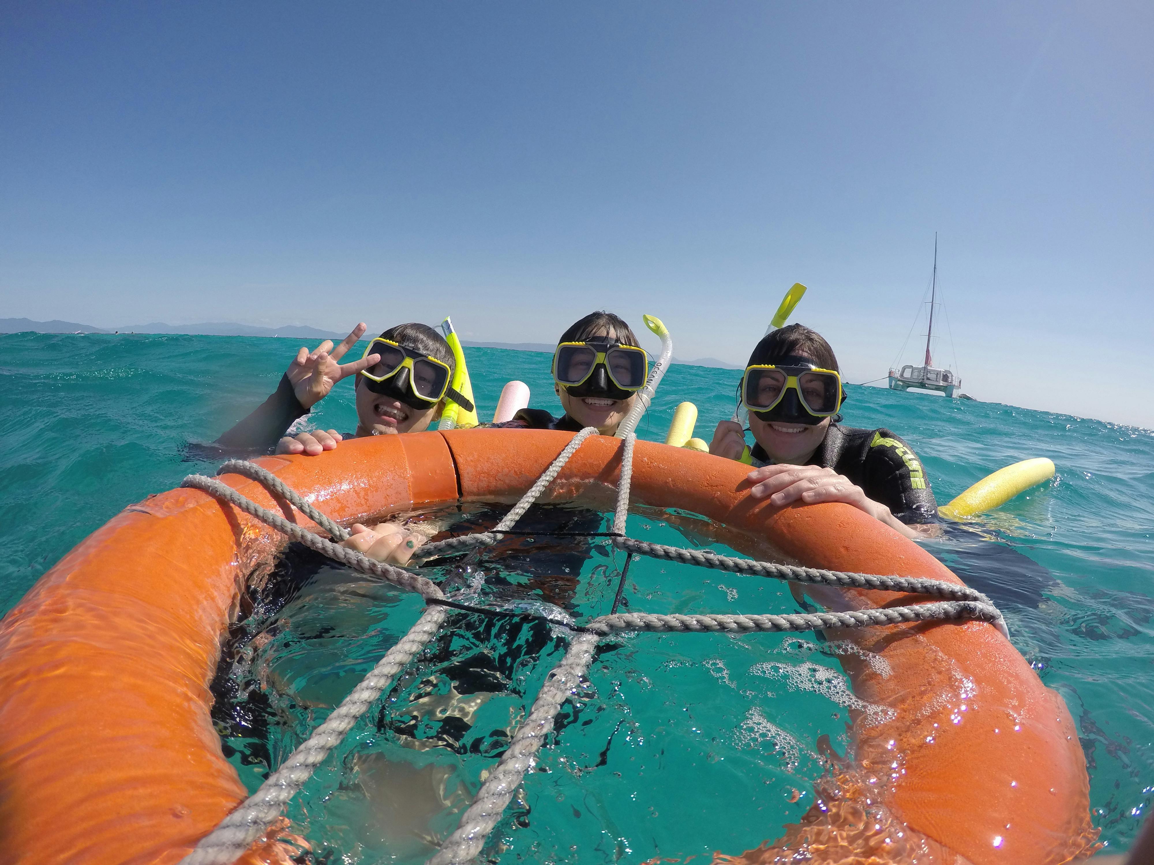 Reef Daytripper Full-Day Great Barrier Reef Snorkel