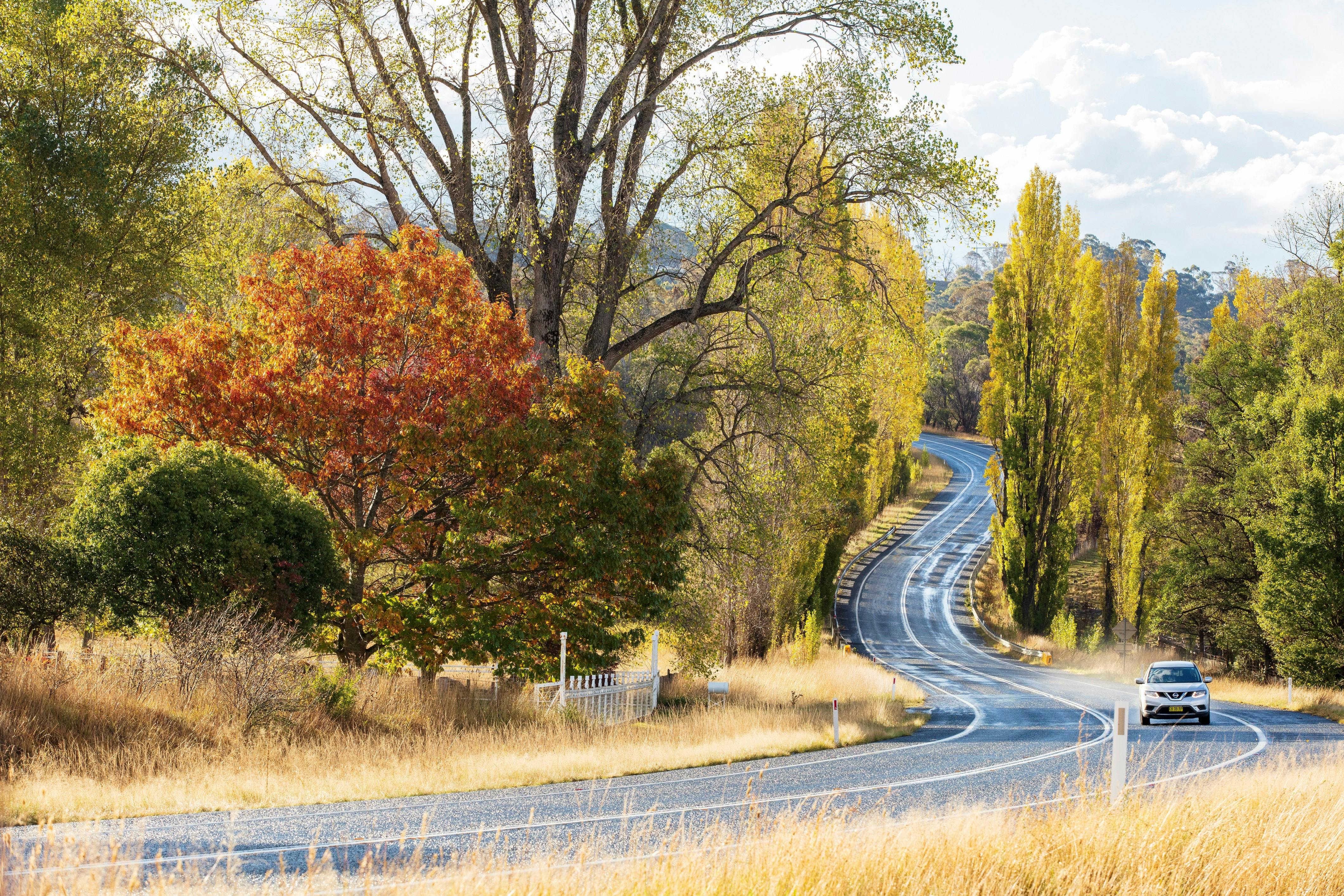 New England Autumn Garden Trail - Glen Innes