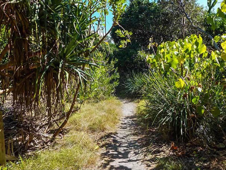 North Head walking track