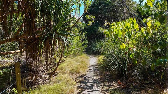 North Head walking track