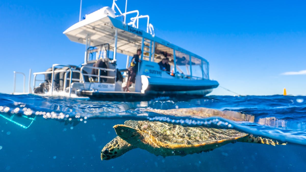 Dive boat with turtle diving below