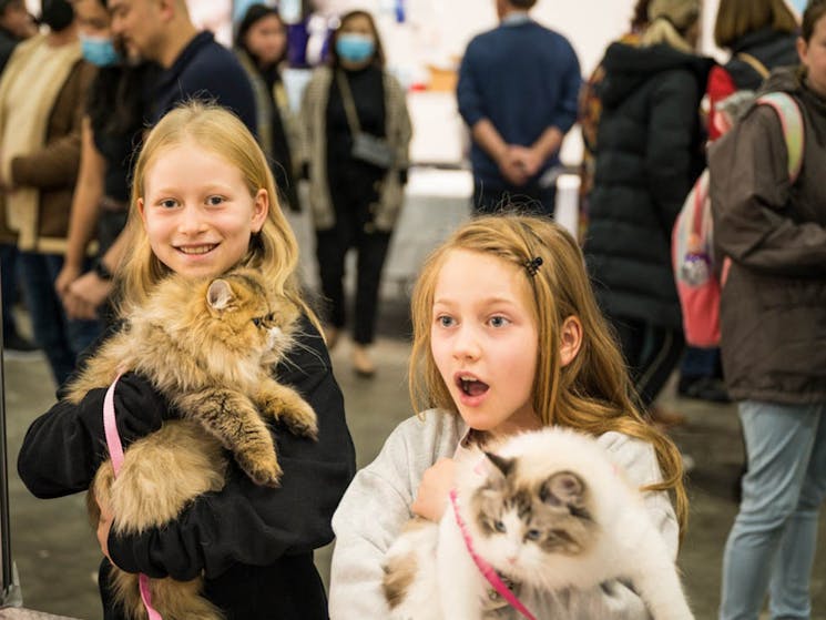 Children holding cats