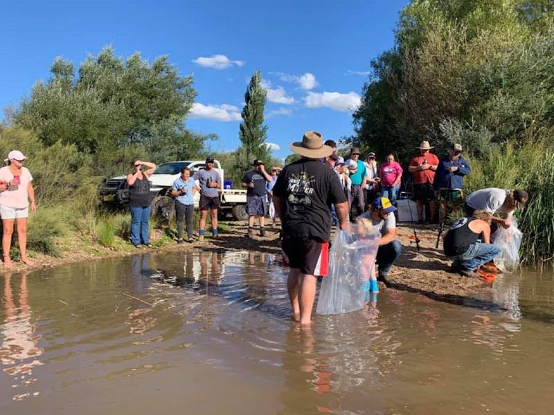 Image for Bredbo Australia Day Carp Out Competition