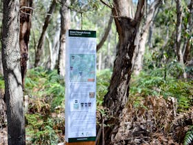 Honan Mint Walking Trail