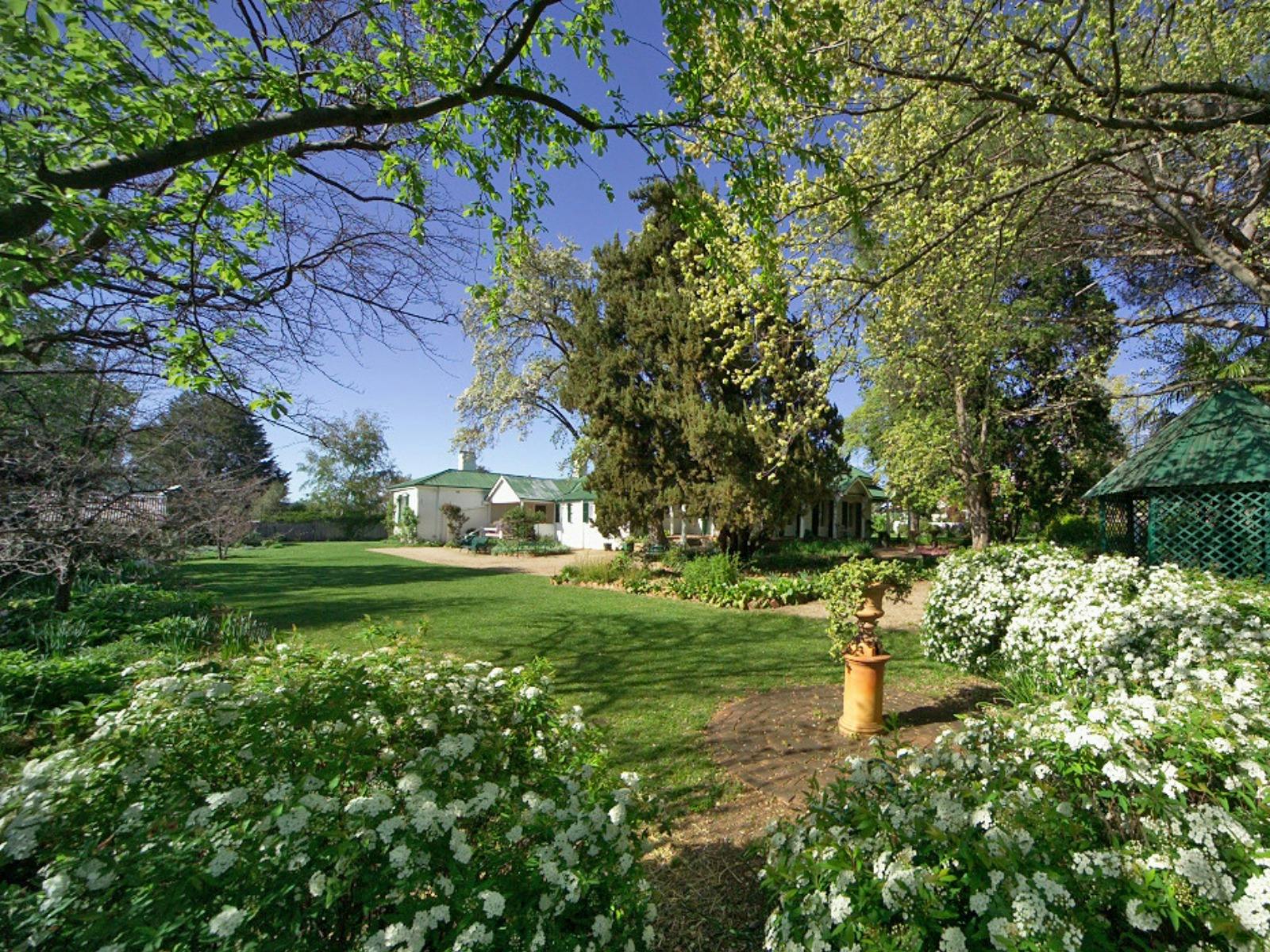 A vast garden is bordered by white flowers and green trees hang overhead