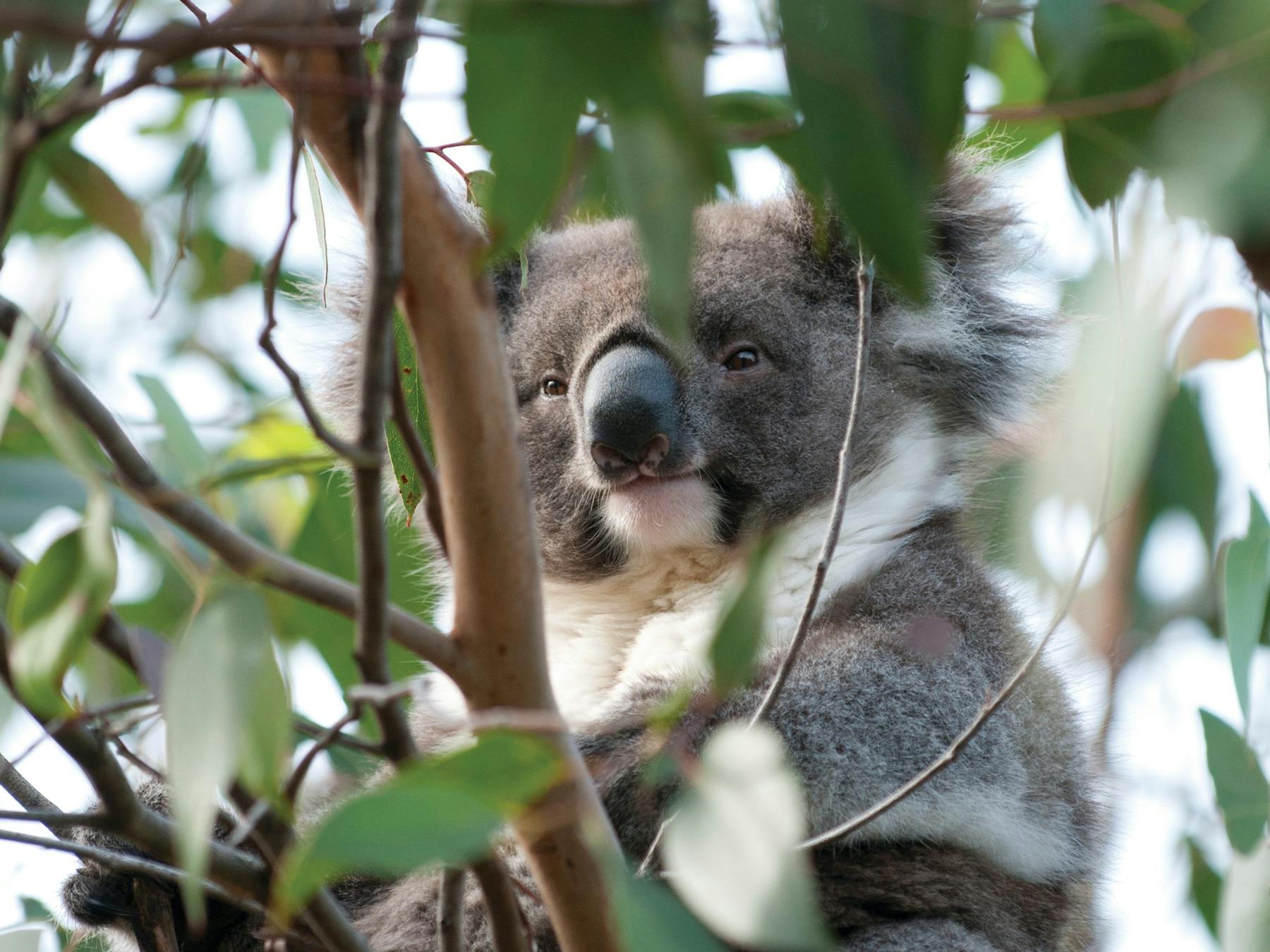 French Island National Park