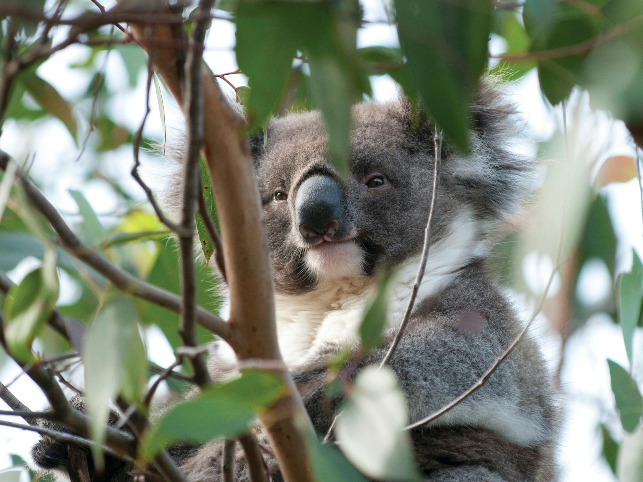 French Island National Park