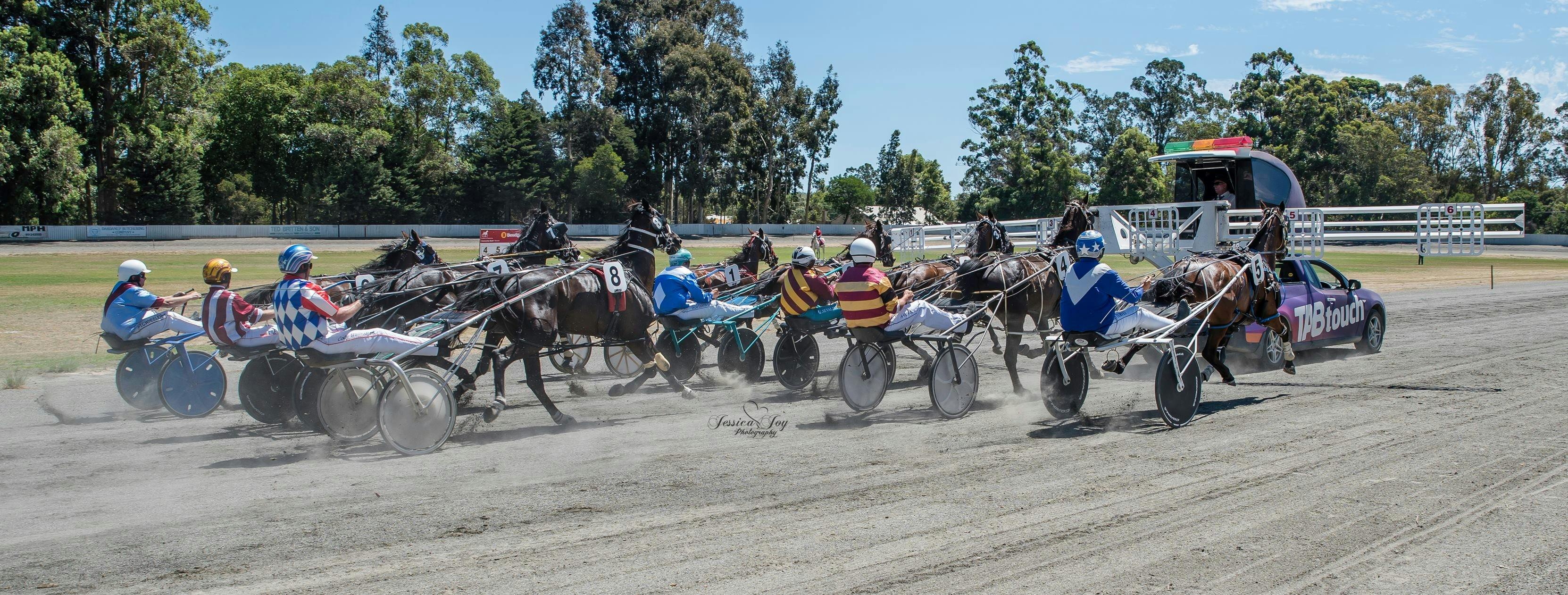 Collie Harness Racing