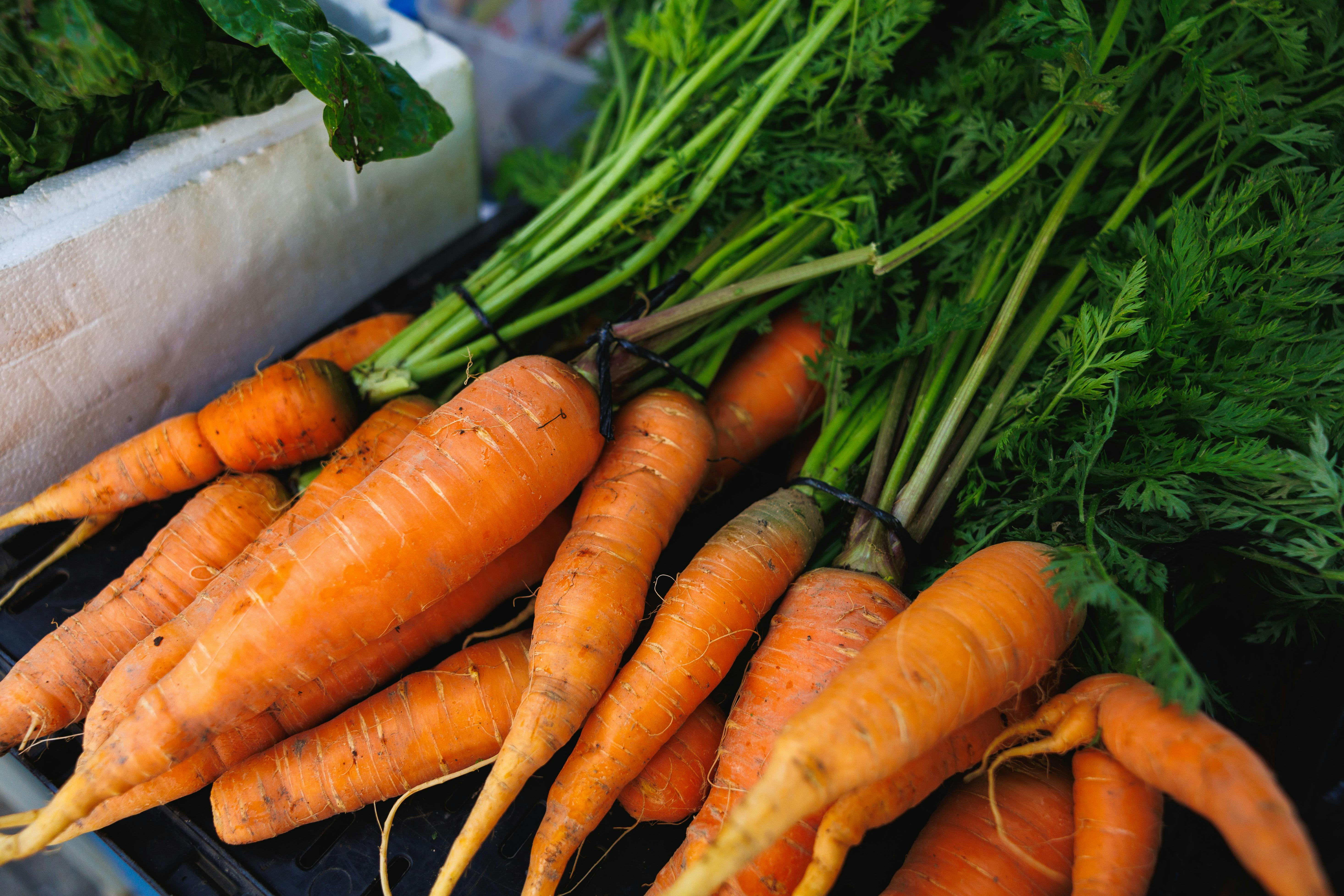 Farm Fresh Produce