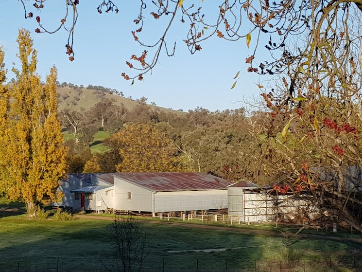'Bibbaringa' Woolshed, the venue for Writers at the Woolshed