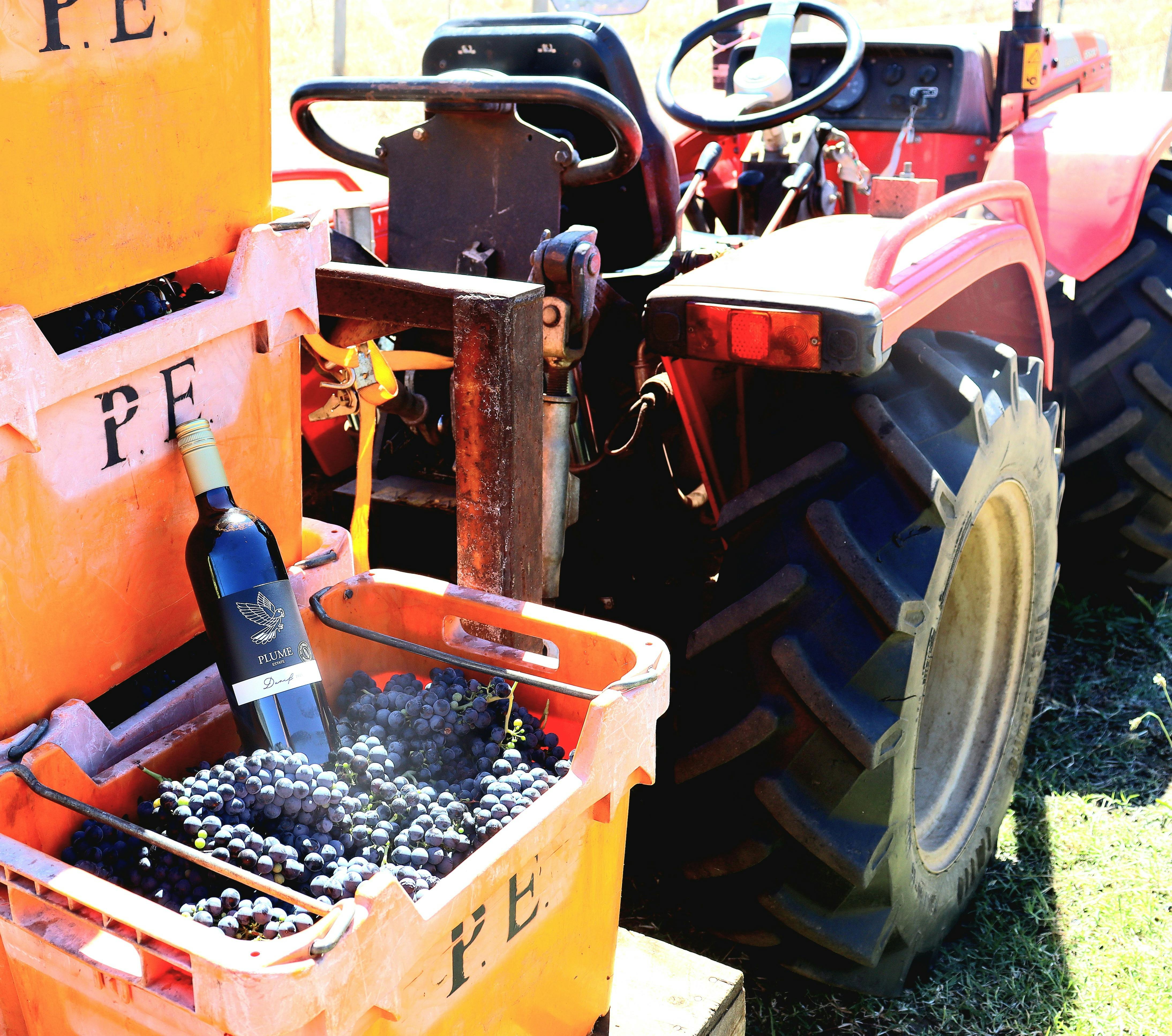 Bickley Harvest Festival