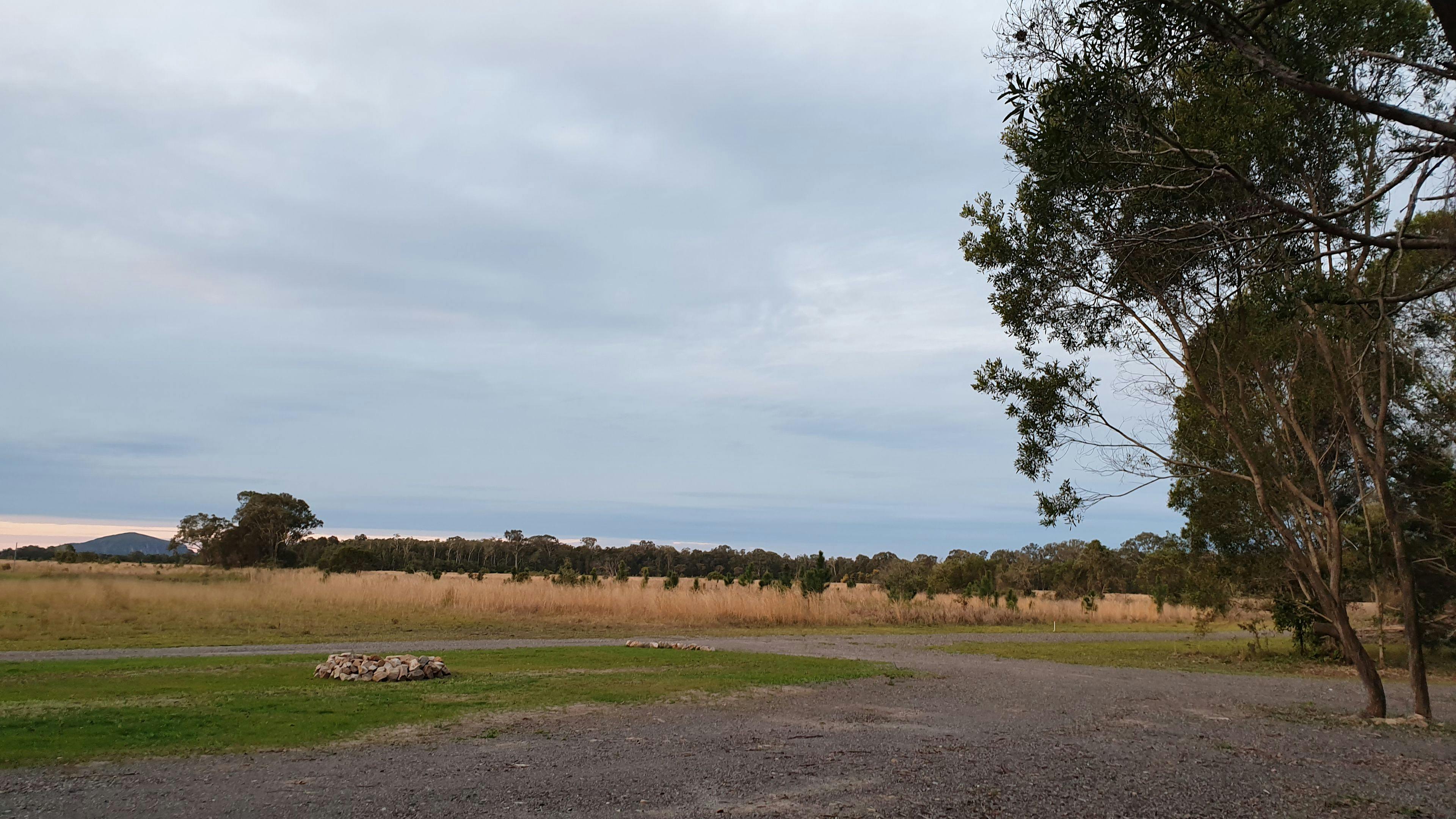 Conservation Camping at Maroochy