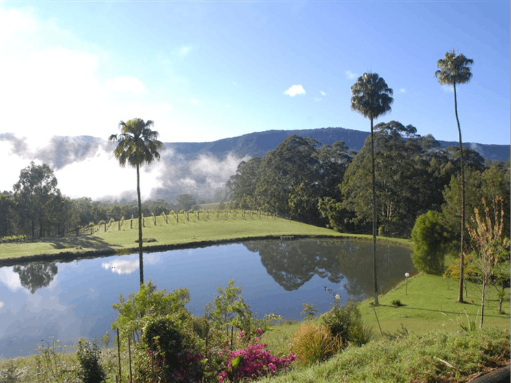 Yarrawa Estate