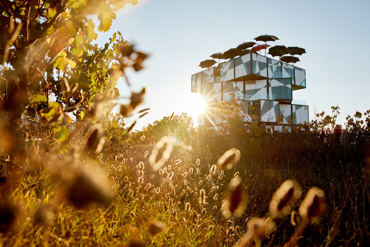 The d'Arenberg Cube in Autumn