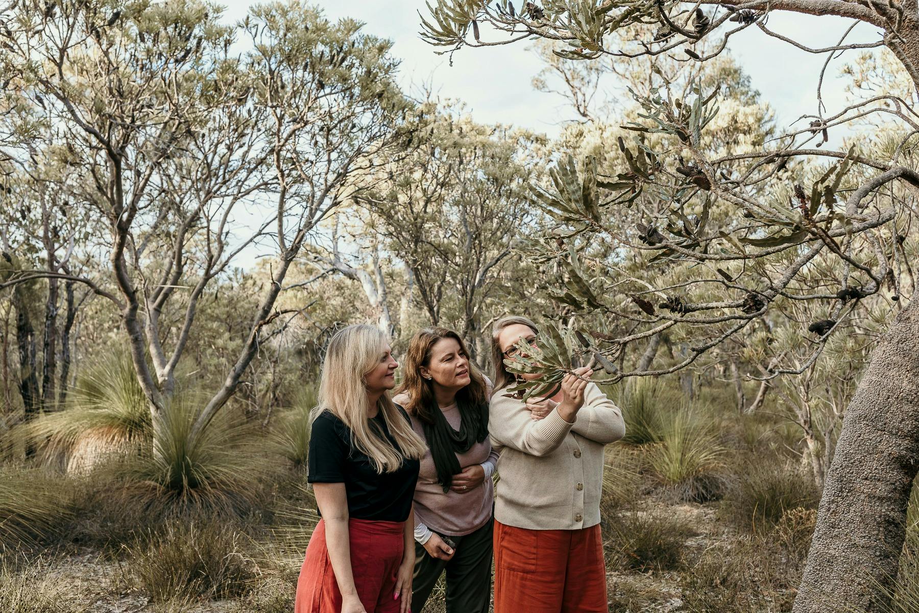 Mindful in Nature, West Perth, Western Australia