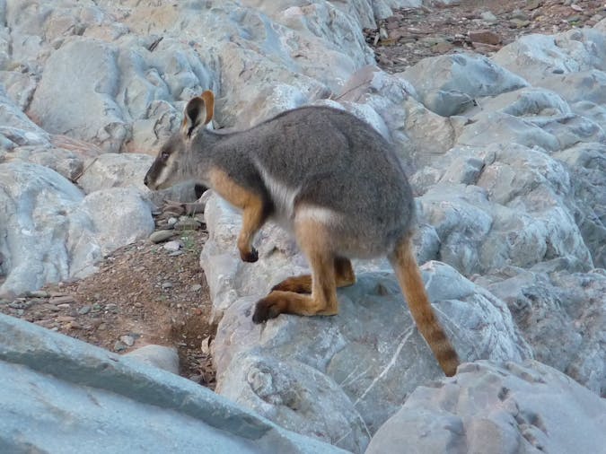 5 Day Flinders Ranges - Lake Eyre Tour - SWTLE05
