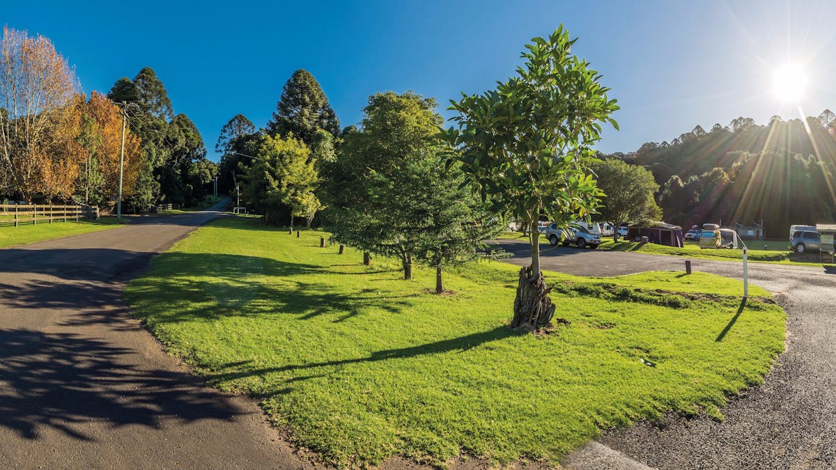 Camping area, Bunya Mountains