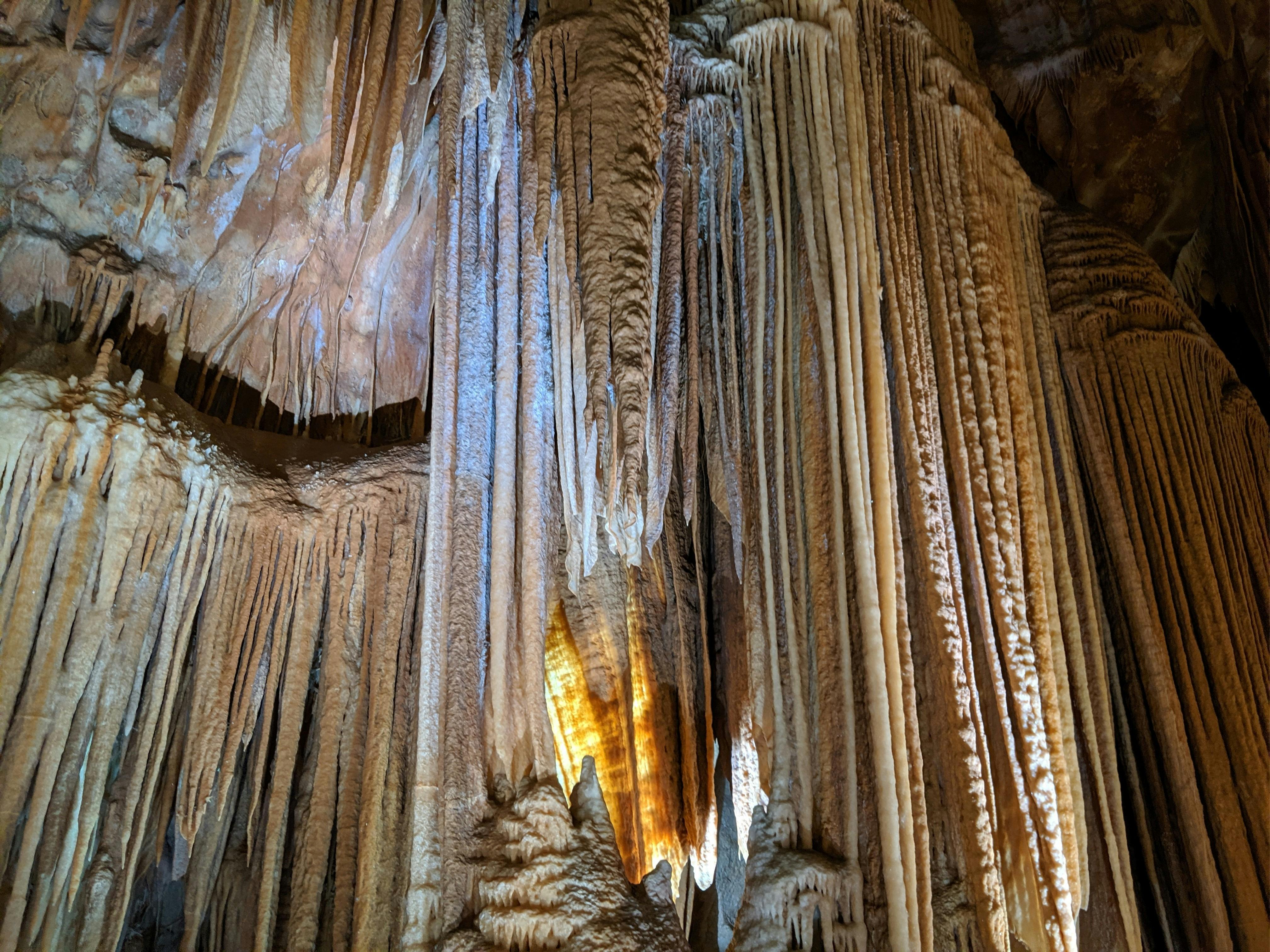 Family Jenolan Caves tour, day trip from Sydney, day tour from Sydney