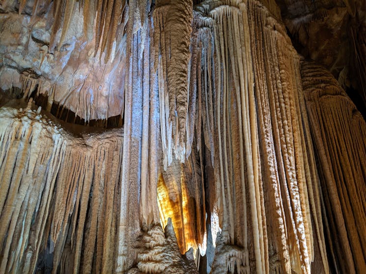 Family Jenolan Caves tour, day trip from Sydney, day tour from Sydney