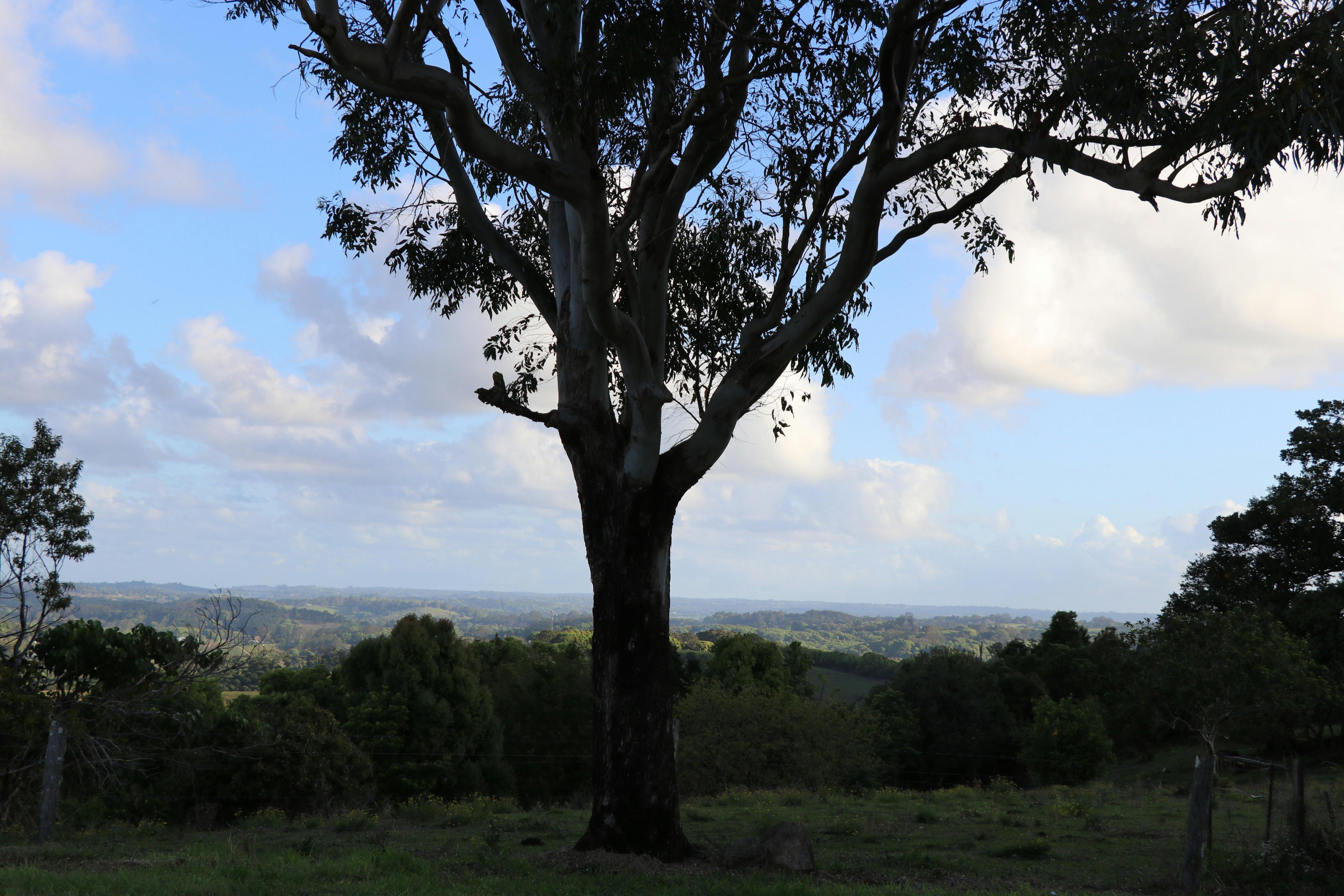Outlook South
